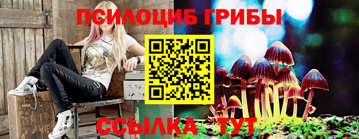 Галлюциногенные грибы прущие грибы Горно-Алтайск