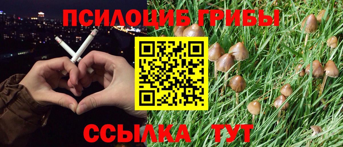 Галлюциногенные грибы ЛСД  Галлюциногенные грибы мицелий  Горно-Алтайск  Вход с VPN 